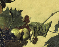 Mand met fruit, Caravaggio, detail