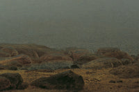 Zeestrand in de mist, Caspar David Friedrich, detail