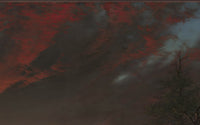Schemering in de wildernis - Twilight in the Wilderness - detail