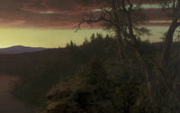 Schemering in de wildernis - Twilight in the Wilderness - detail