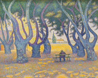De platanen aan de Place des Lices, Paul Signac, kunstdruk van willem.