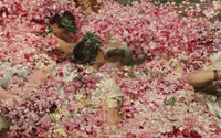 De rozen van Heliogabalus, Sir Lawrence Alma-Tadema, detail