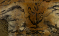 Kersen - Cherries - detail
