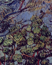 Het hospitaal van Saint-Rémy, Vincent van Gogh, detail