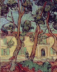 Het hospitaal van Saint-Rémy, Vincent van Gogh, detail