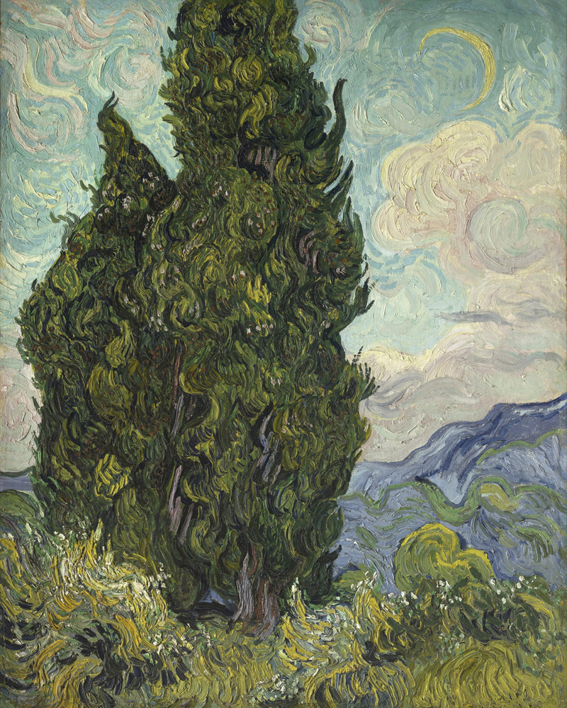 Cipressen, Vincent van Gogh, kunstdruk van willem.