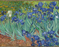 Irissen (1889), Vincent van Gogh, kunstdruk van willem.