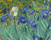 Irissen (1889), Vincent van Gogh, detail