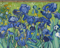 Irissen (1889), Vincent van Gogh, detail