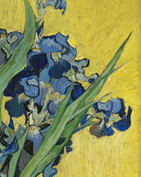 Irissen (1890), Vincent van Gogh, detail