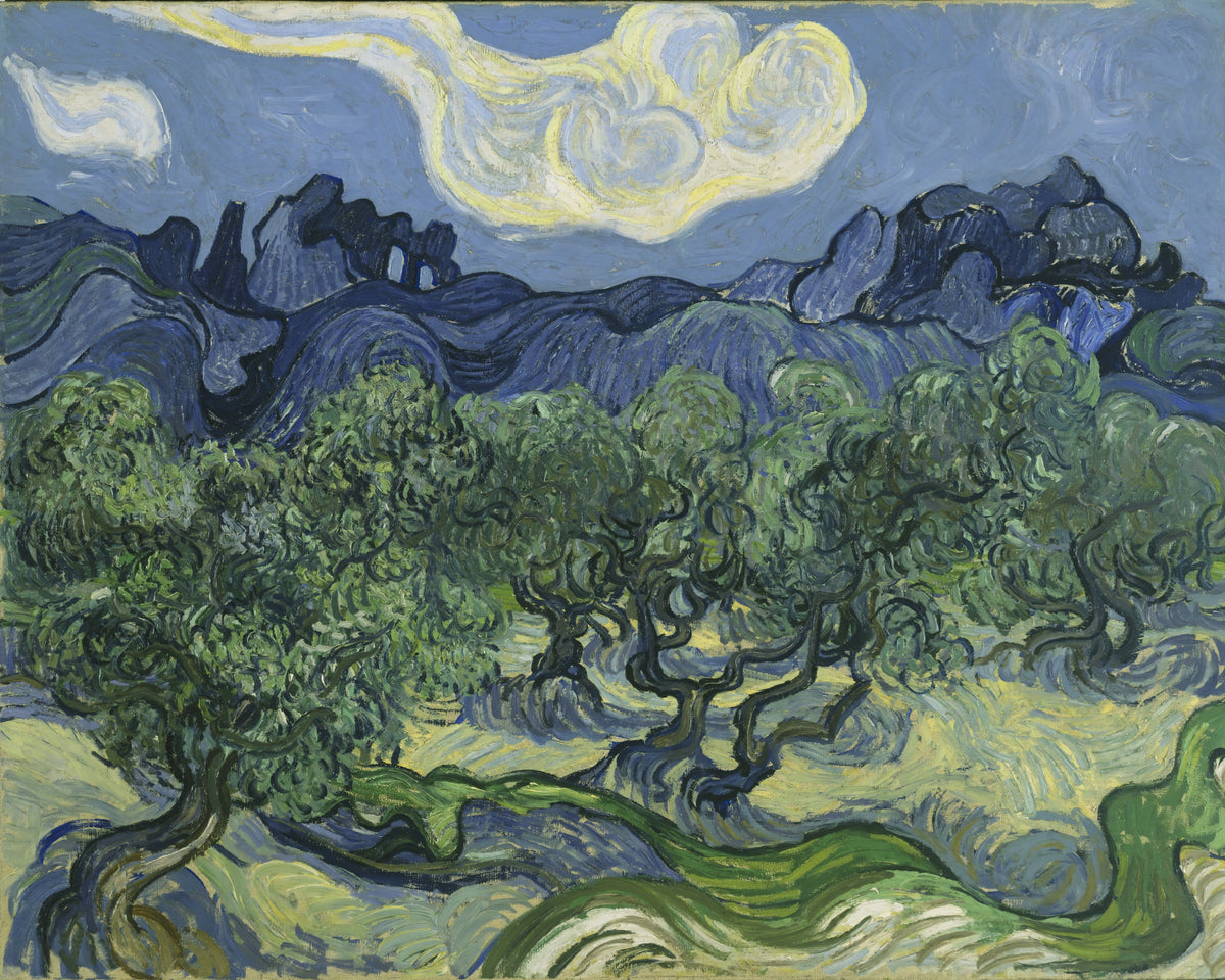 De olijfbomen, Vincent van Gogh, kunstdruk van willem.