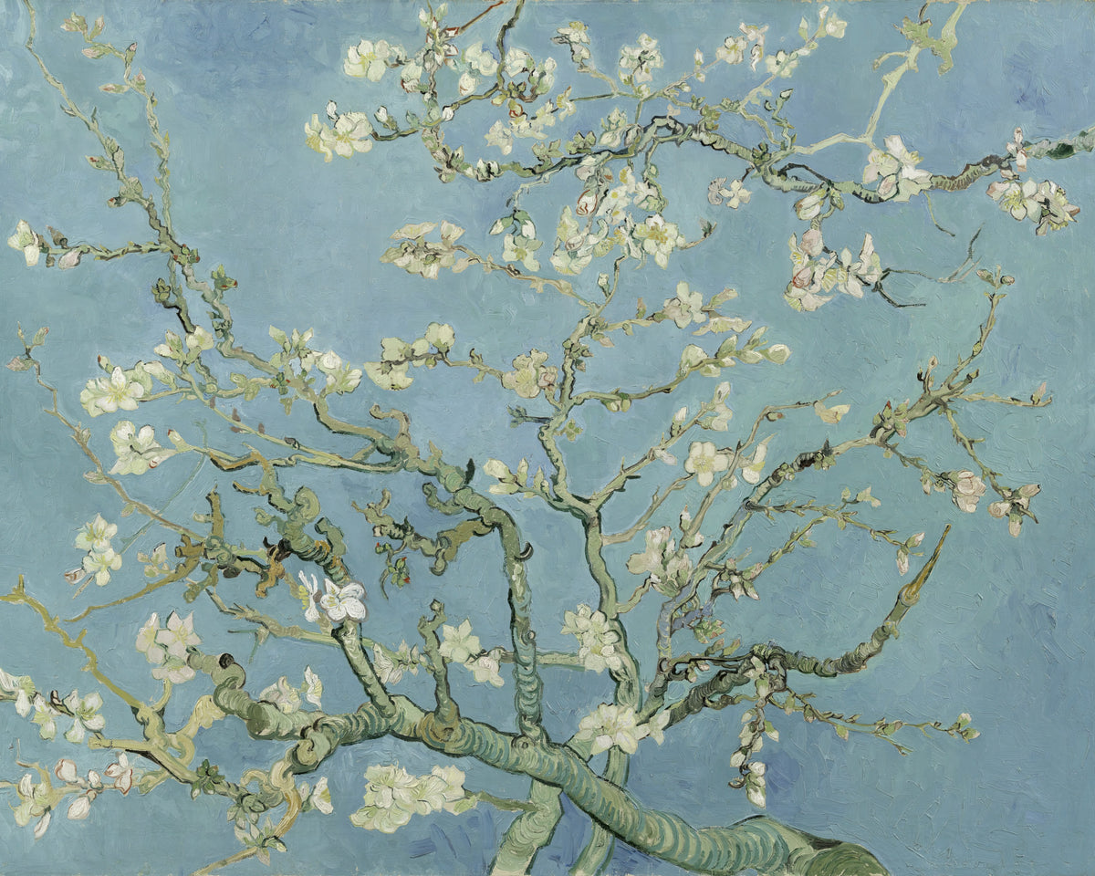 Amandelbloesem, Vincent van Gogh, kunstdruk van willem.