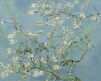 Amandelbloesem, Vincent van Gogh, kunstdruk van willem.