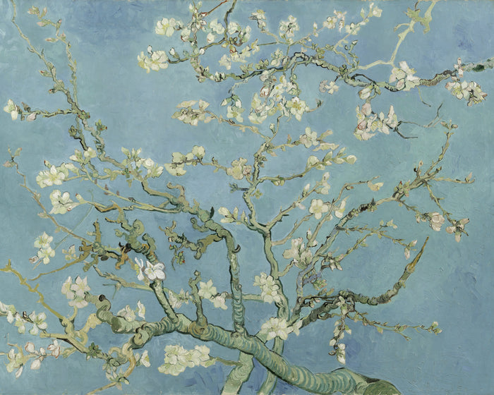 Amandelbloesem, Vincent van Gogh, kunstdruk van willem.